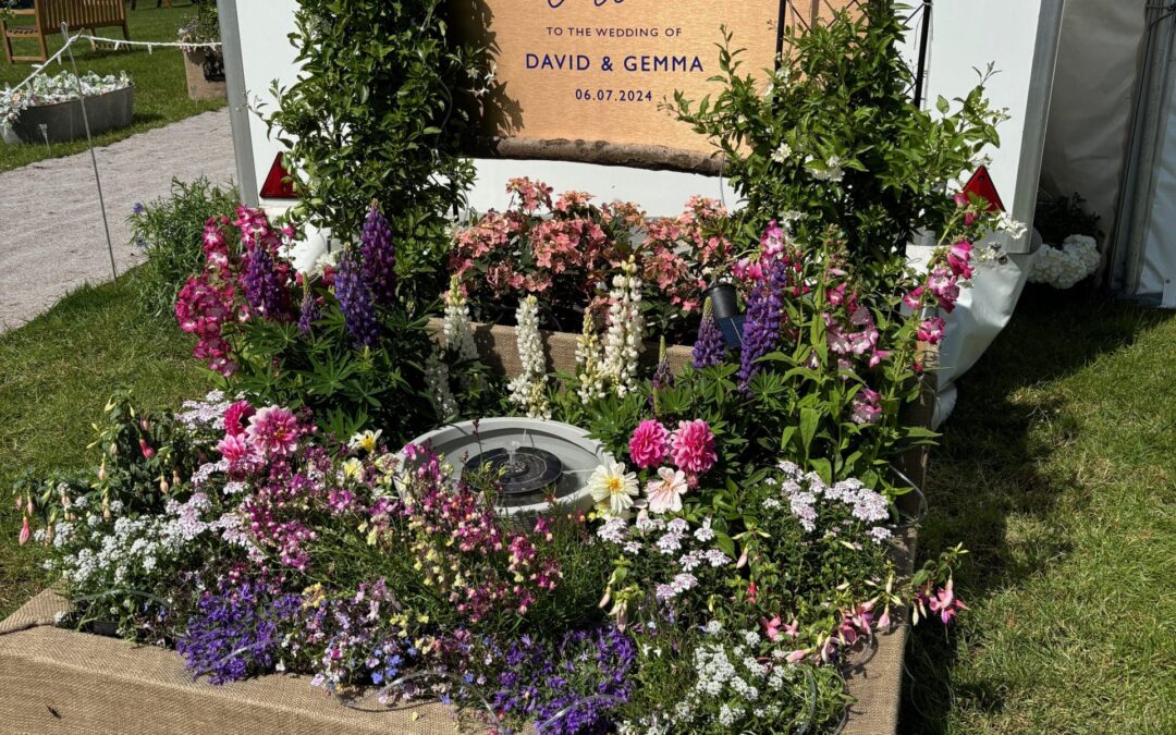 Gemma and Dave’s North Devon wedding