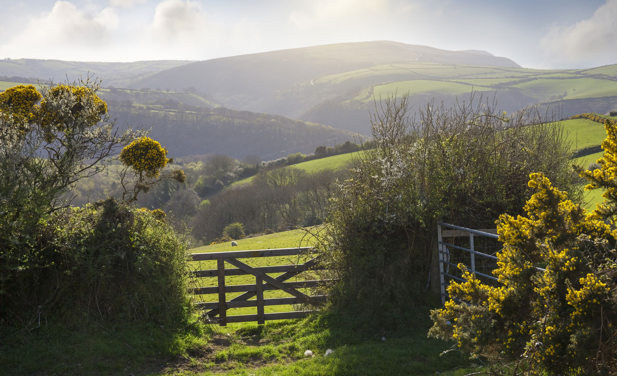 Devon Wedding Catering Locally Sourced Ingreadients North Devon Farms