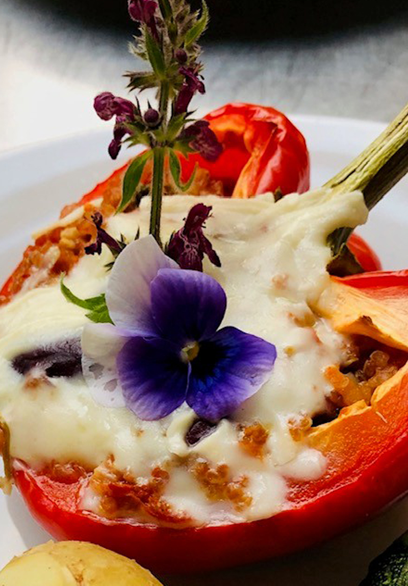 Devon Catering Buffet Catering Feature Image